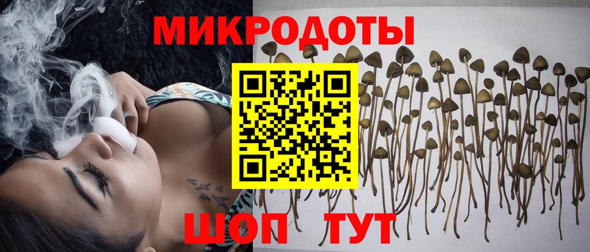 Псилоцибиновые грибы мухоморы  купить закладку  Иркутск  Вход с VPN  Псилоцибиновые грибы GOLDEN TEACHER 